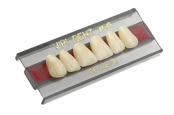 Dente Vipi Dent B Anterior Superior 2D Cor 62 - Vipi