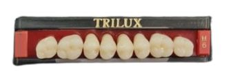 Dente Trilux Posterior Inferior M6 Cor 2A - Vipi