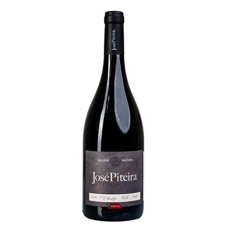 JOSÉ PITEIRA GRANDE ESCOLHA