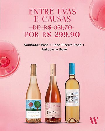 KIT - ENTRE UVAS E VINHOS