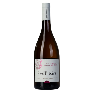 JOSÉ PITEIRA BRANCO