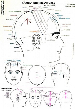 MAPA CRANIOPUNTURA CHINESA E JAPONESA