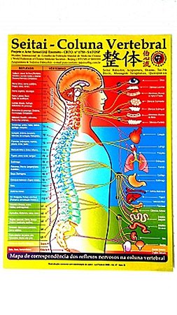 MAPA COLUNA VERTEBRAL SEITAI