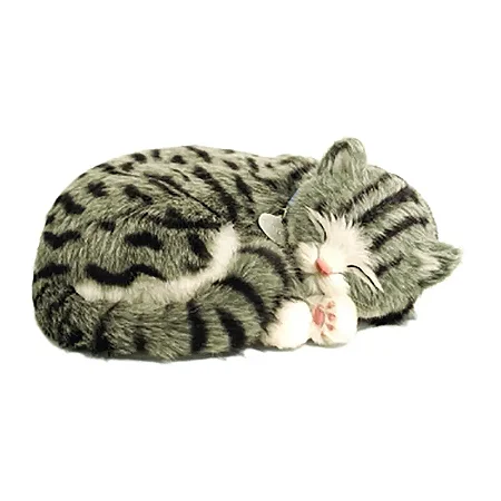 GATO TECIDO MALHADO GRAY TABBY QUE RESPIRA