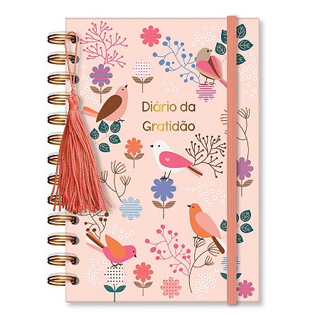 DIARIO DA GRATIDAO LEVE AMOR