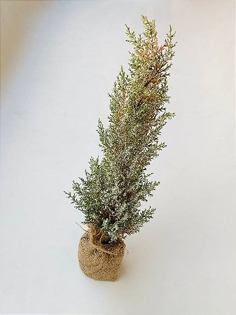 ARVORE NEVADA NATAL 53CM