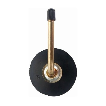 Bico Válvula P/ Caminhão Base Borracha Tr75a Rotta 376