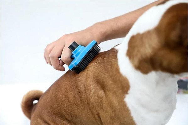 Rasqueadeira Para Cães E Gatos Prática Chalesco - Azul