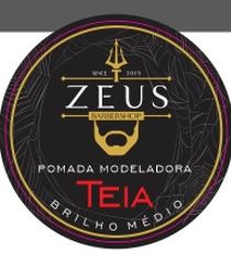 KIT 10 POMADAS MODELADORA EFEITO TEIA ZEUS BARBERSHOP 90G