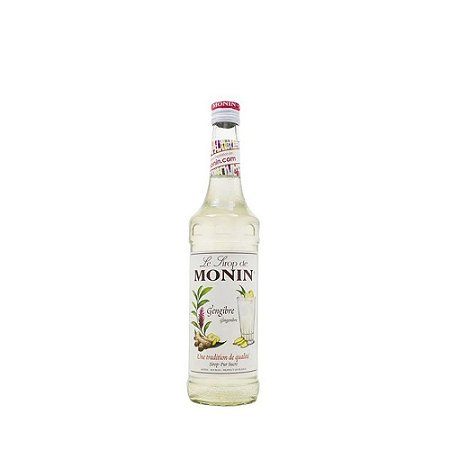 XAROPE MONIN GENGIBRE 250ML