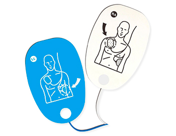 Pás para Desfibrilador Zoll Medical Corp DE-ZL1