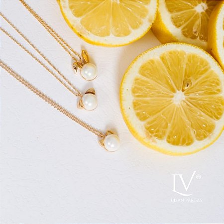 Conjunto CACHORRINHO com colar mini elo e brincos com perolas shell  corrente 45 cm