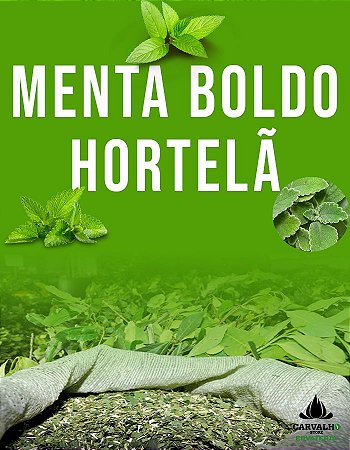 Erva Mate Carvalho Menta Boldo Hortelã (500g)
