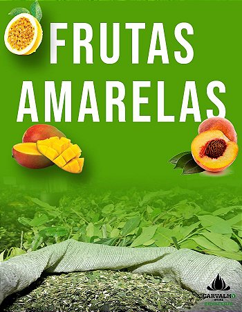 Erva Mate Carvalho Frutas Amarelas (500g)