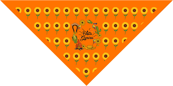 Bandanas Juninas Media