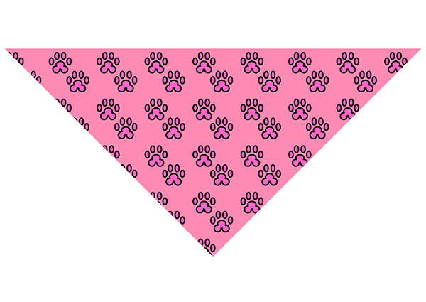 Bandanas Medias Dia a dia