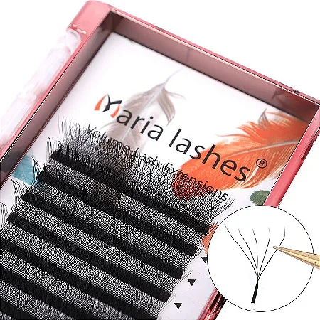 Fio Maria Sasha W5D M