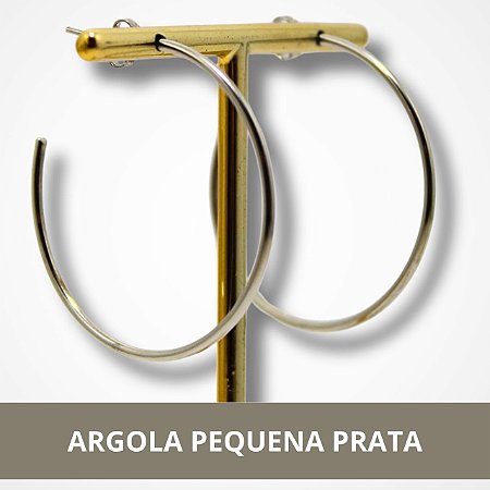 Brinco Argola Pequena - Prata