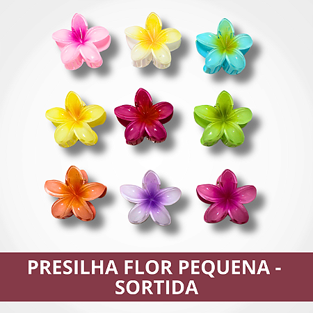 Presilha Flor Pequena - Sortida