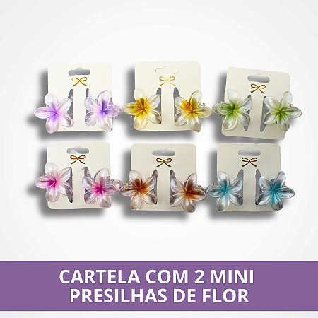 Cartela com 2 Mini Presilhas de Flor - Sortido