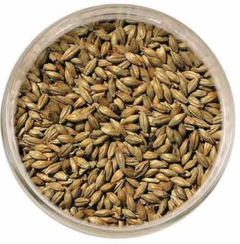 Malte Viking Caramel 100 (caramunich I, cara gold)