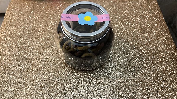 Central Beauty - Mini Rabico de Meia no Potinho NUDE