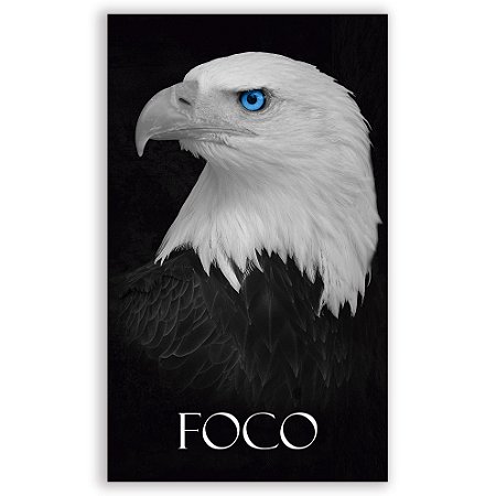 Capa Faixa Lateral Sublimado - Motivacao Aguia