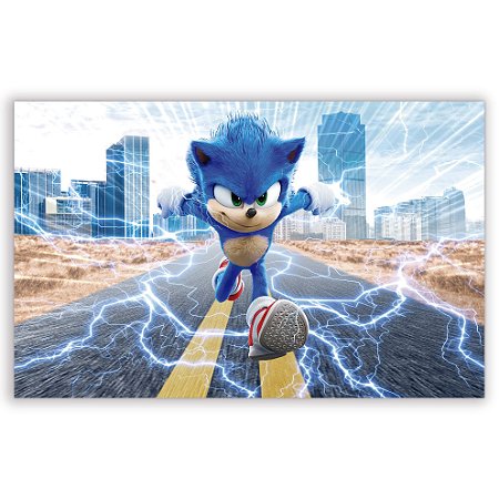 Capa Painel Retangular Sublimado - Sonic