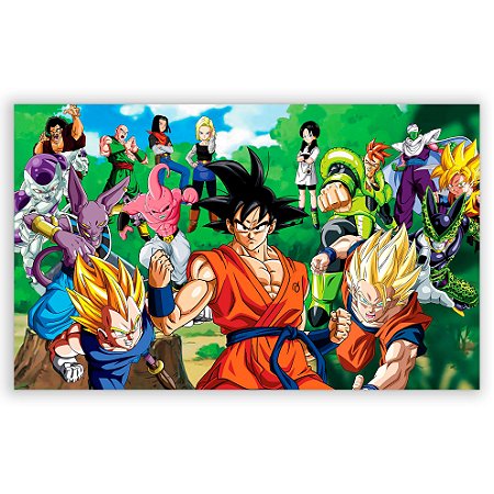 Capa Painel Retangular Sublimado - Dragon Ball