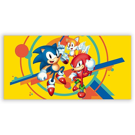 Capa Painel Retangular Sublimado - Sonic
