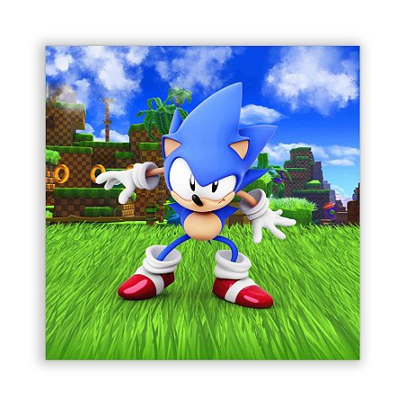 Painel Quadrado - Sonic - Sublimado 3D