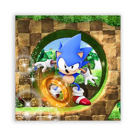 Painel Quadrado - Sonic - Sublimado 3D