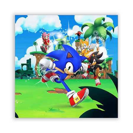 Painel Quadrado - Sonic - Sublimado 3D