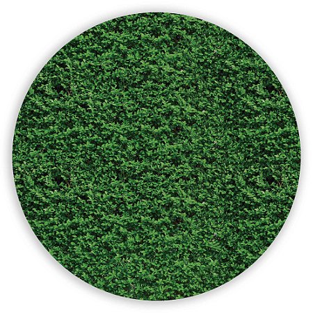 Painel Redondo - Muro Ingles - Sublimado 3D