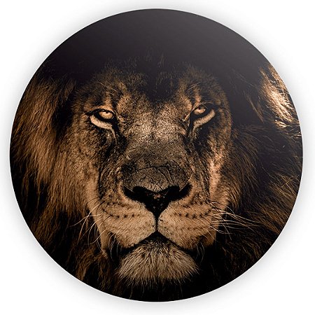 Capa Painel Redondo Sublimado - Religioso Leao