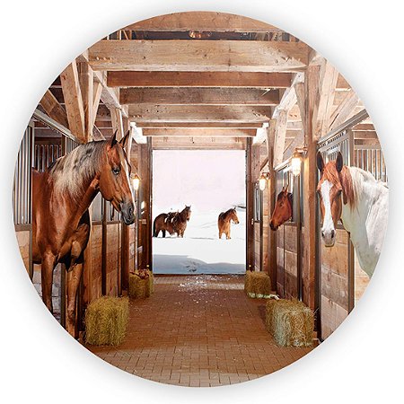 Capa Painel Redondo Sublimado - Cavalo