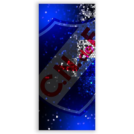 Capa Faixa Lateral Sublimado - Club Nacional de Football