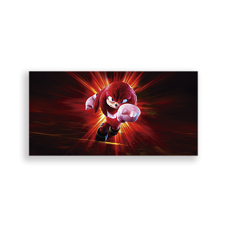 Capa Painel Retangular Sublimado - Sonic Knuckles