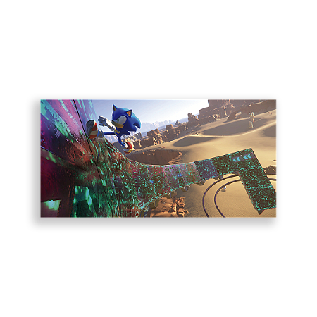 Capa Painel Retangular Sublimado - Sonic