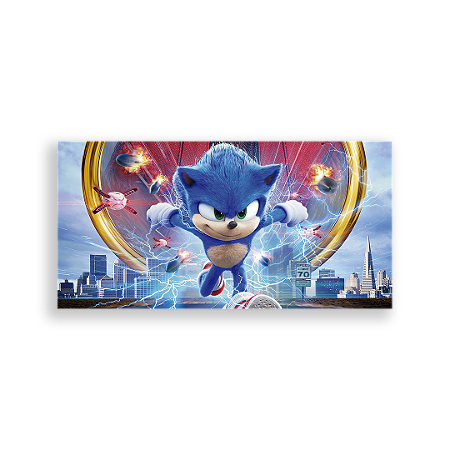 Capa Painel Retangular Sublimado - Sonic