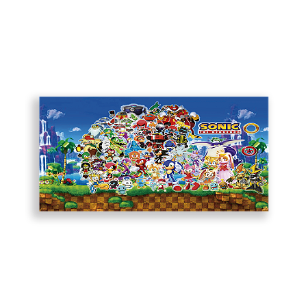 Capa Painel Retangular Sublimado - Sonic