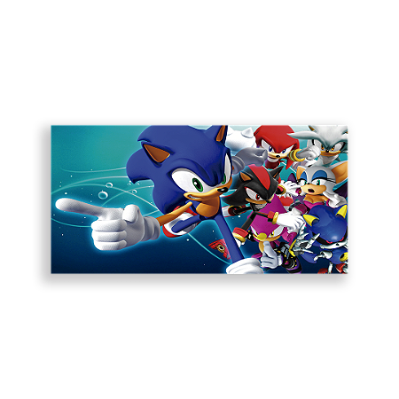 Capa Painel Retangular Sublimado - Sonic