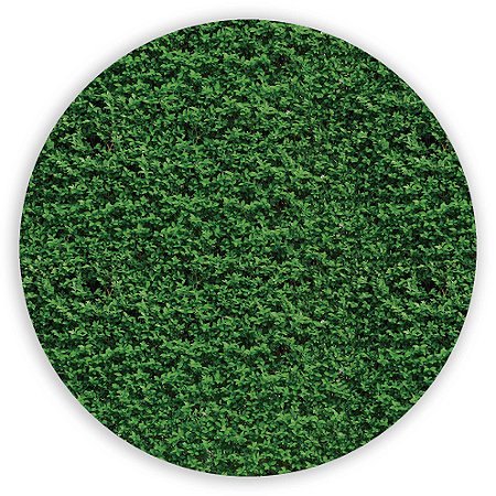 Mini Painel - Muro Ingles - Sublimado 3D