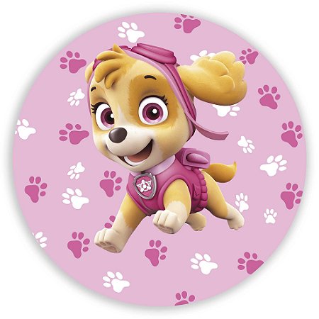 Capa Mini Painel Sublimado - Patrulha Canina Skye