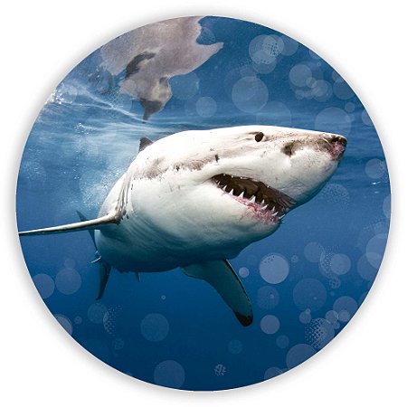 Mini Painel - Tubarão - Sublimado 3D