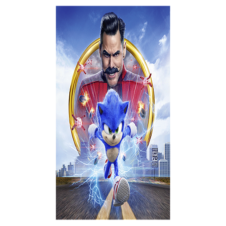 Capa Faixa Lateral Sublimado - Sonic