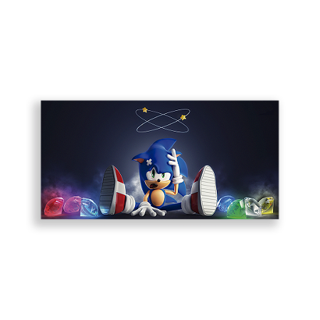 Capa Painel Retangular Sublimado - Sonic