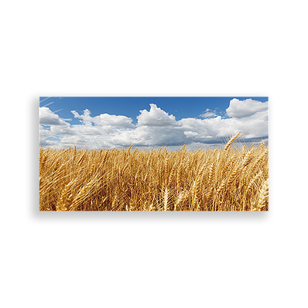 Capa Painel Retangular Sublimado - Fundo Mundo Trigo