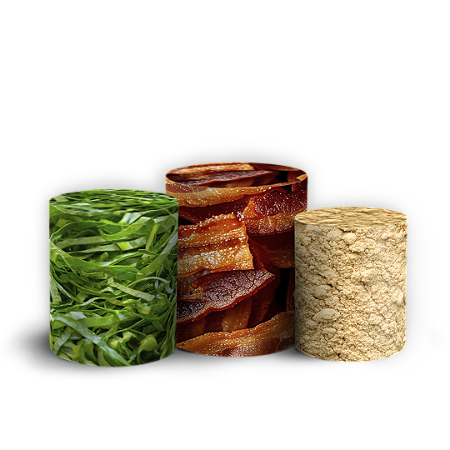 Capas Trio Cilindro Sublimado Vest Facil - Feijoada