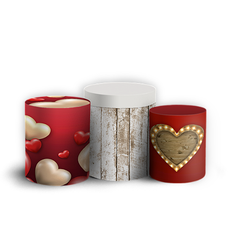 Capas Trio Cilindro Sublimado Vest Facil - Dia Das Mães